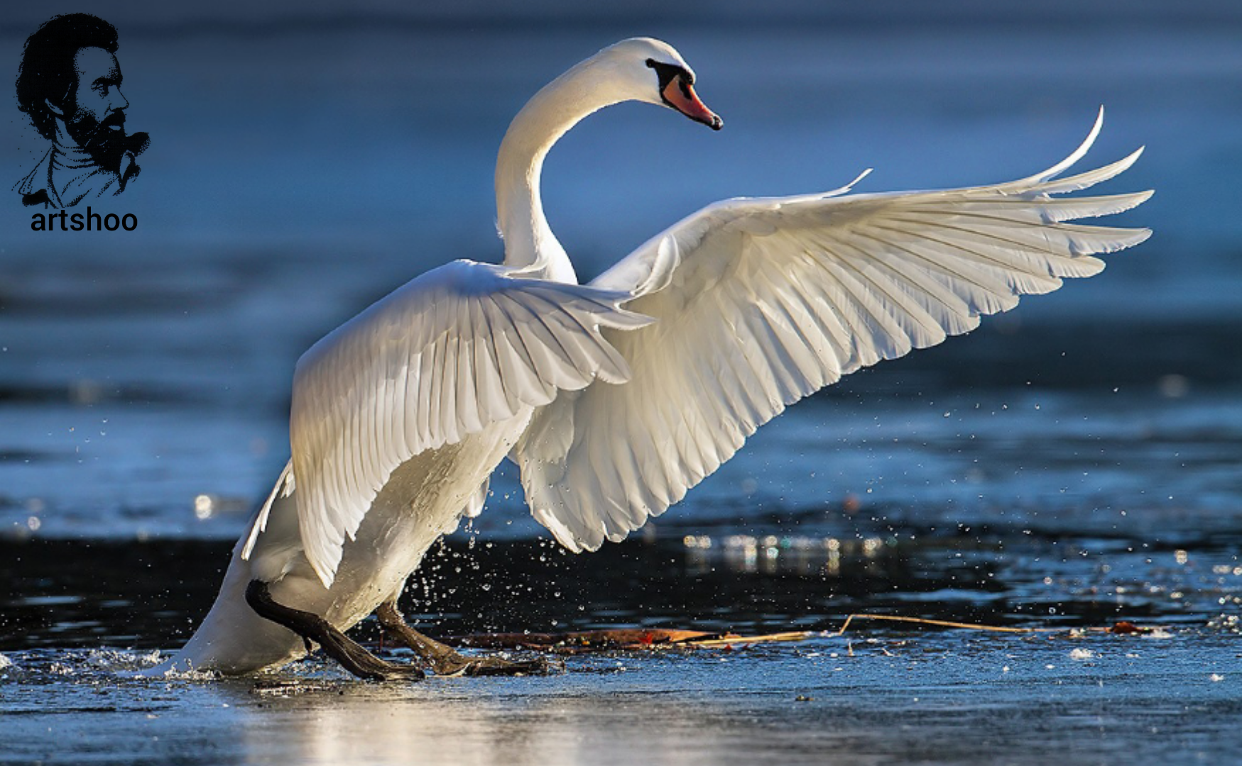 مدل رنگ روغن اورژینال آب
